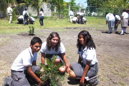 PLAN ECOLOGICO A.M.A.  “AYUDA AL MEDIO AMBIENTE”