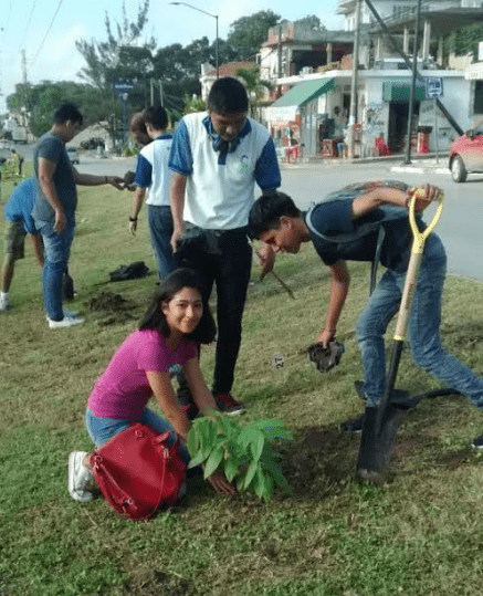 APOYAN PLANTELES 04 Y 15 DE COBAT TAMPICO, EN JORNADAS DE REFORESTACIÓN