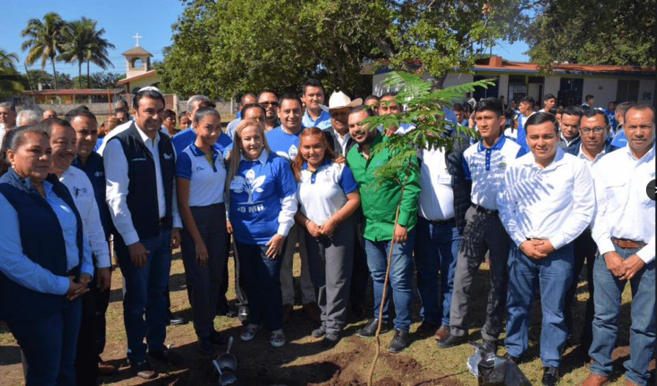 SIEMBRA COBAT ÁRBOL 20 MIL
