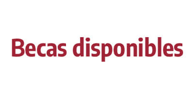 Becas disponibles