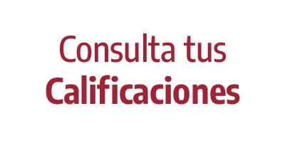 Consulta tus calificaciones
